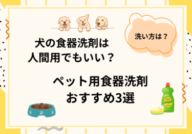 犬の食器は人間用の洗剤で洗ってもいい？ペット用食器洗剤3選もご紹介