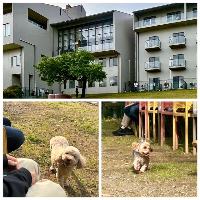 浜名湖 犬と一緒に泊まれるホテル