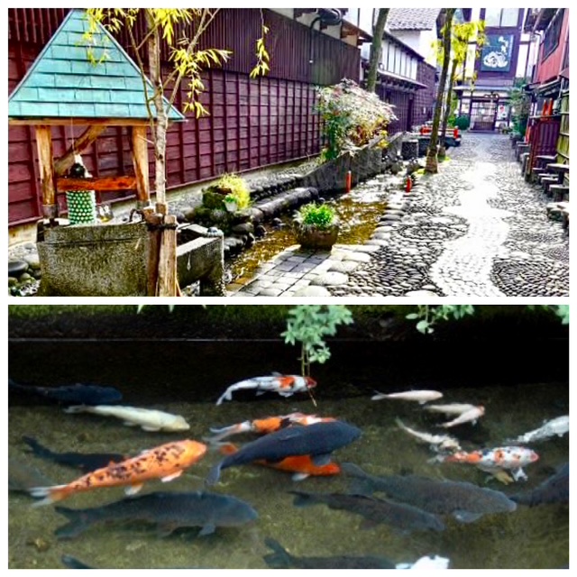 郡上八幡 観光マップ