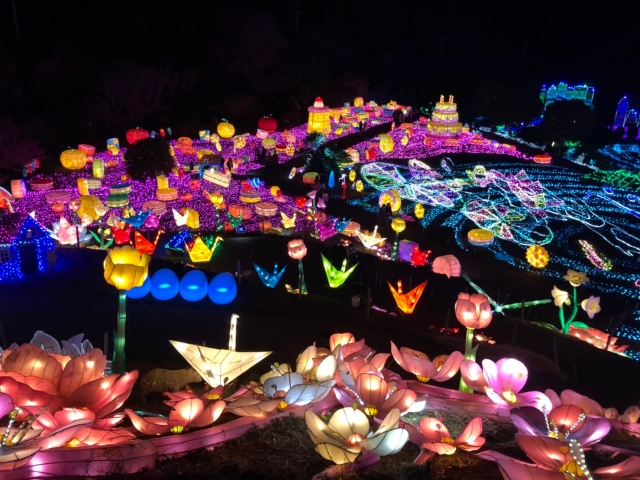 伊豆ぐらんぱる公園 ホテル 子連れ