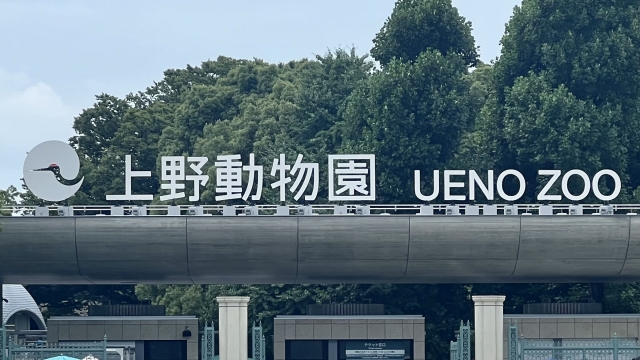 上野動物園 ホテル 子連れ